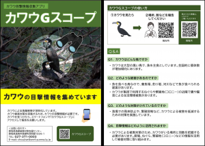 チラシの画像