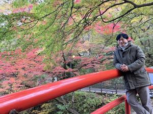 紅葉の写真