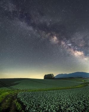 ぐんまの星空第４位嬬恋村の画像