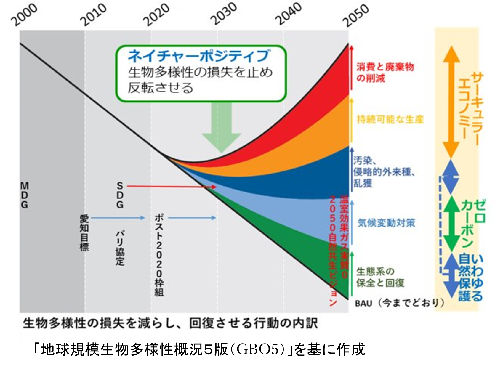 生物多様性の損失を減らし、回復させる行動の内訳画像