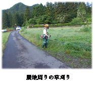 農地周りの草刈りの画像