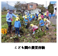 こども園の農業体験の画像