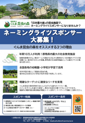 ネーミングライツ募集チラシ画像