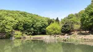 つつみ池