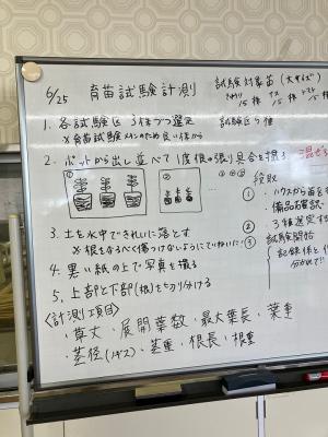 調査の仕方の画像