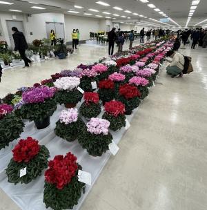 品評会の画像