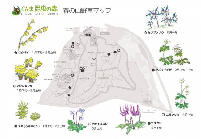 2月～4月の山野草マップ
