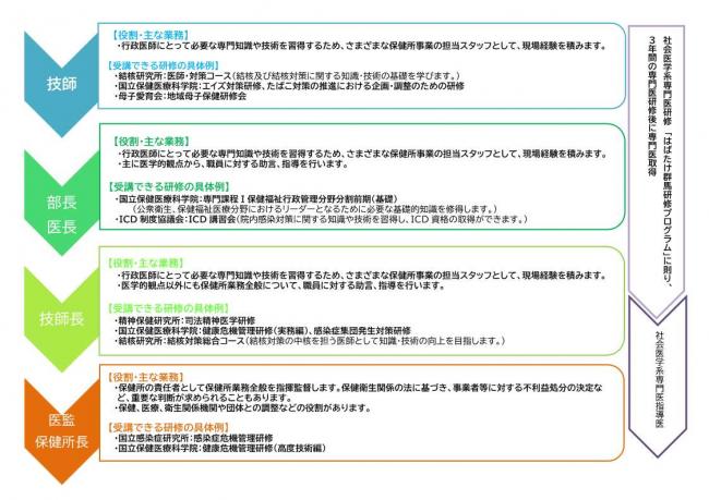 キャリアパス