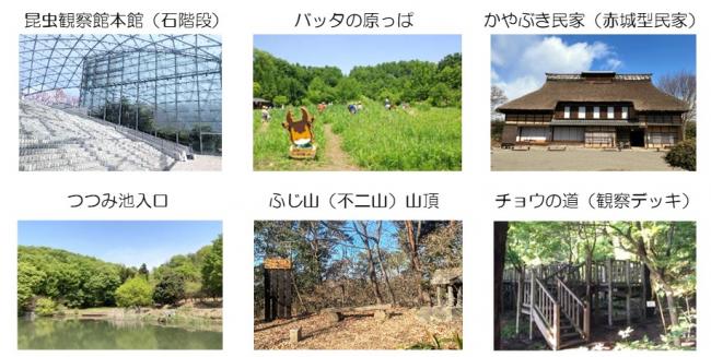 すべてのスポット