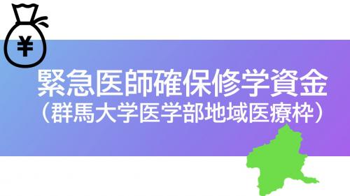 緊急医師確保修学資金の画像