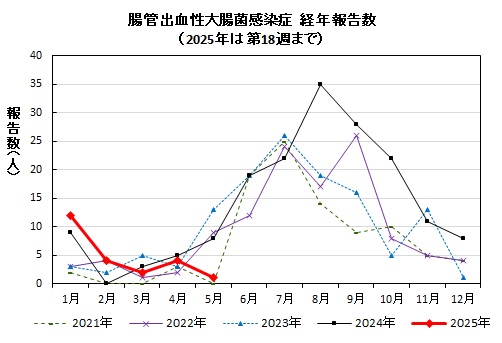 腸管出血性大腸菌感染症　経年報告数画像
