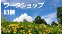 ワークショップ開催の画像