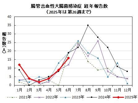 腸管出血性大腸菌感染症　経年報告数画像