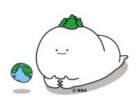 ダイダラポジー画像