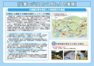災害レジリエンスNo1に関する概要の画像