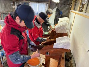 職員が並んで卵を採っている様子写真