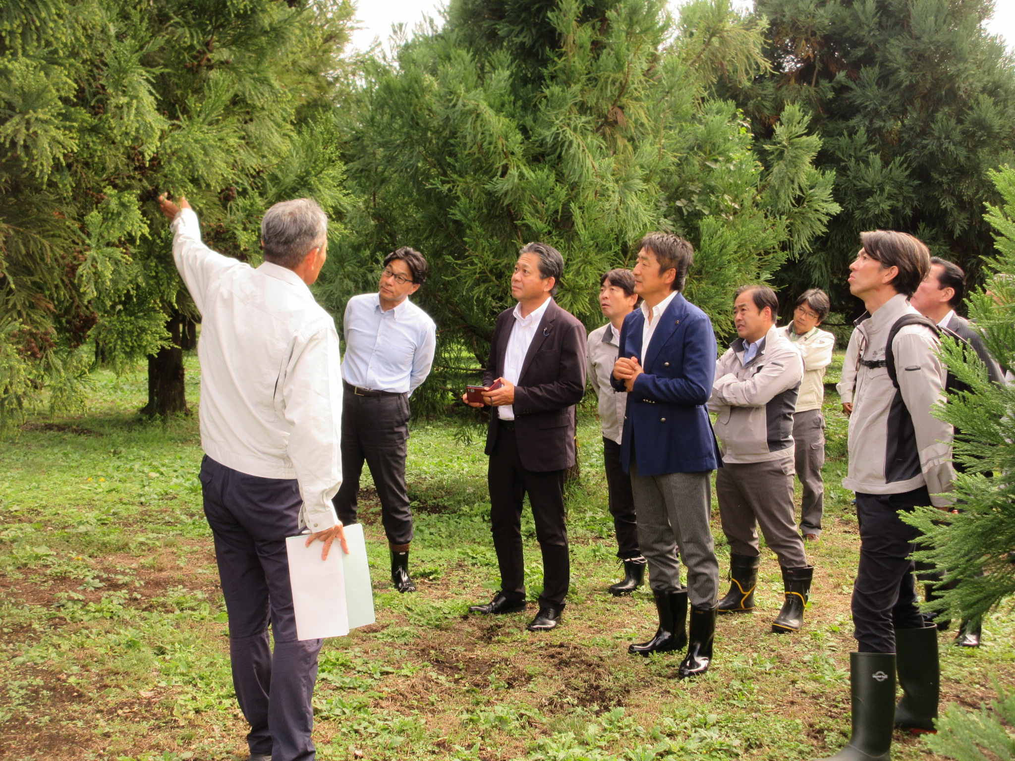 説明を受ける画像