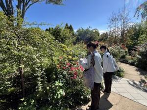 中之条ガーデンズ２の写真