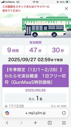 「チケット使用中画面」の画像