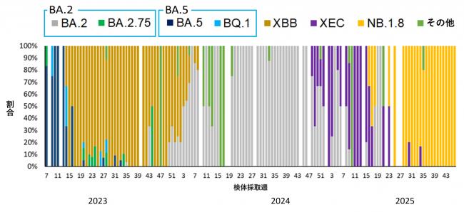 時系列解析割合グラフ画像