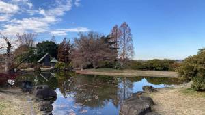 つつじが岡公園