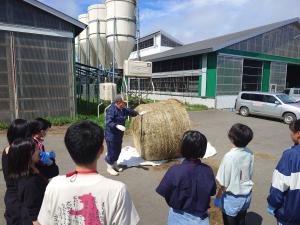 牧場体験の写真