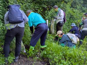 第４回自然観察会の様子１