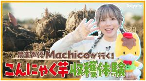 『農業声優Machikoが行く!こんにゃく芋収穫体験』動画サムネイル画像