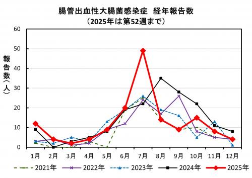 腸管出血性大腸菌感染症 経年報告数画像