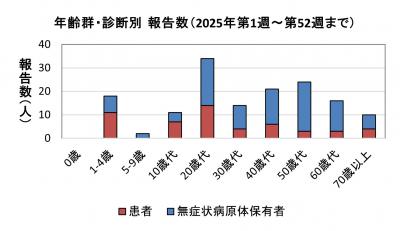年齢群・診断別報告数(2021年)グラフ画像 腸管出血性大腸菌感染症 年齢群別 診断別報告数画像