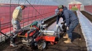 実習の様子2写真