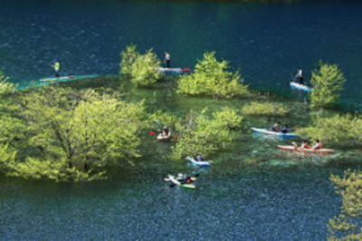 吾妻観光連盟会長賞「水中木とカヌー」の写真