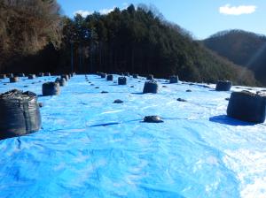 代執行の終了時の写真1