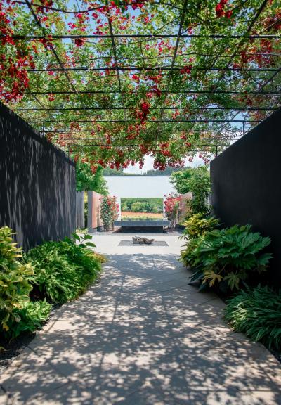 吾妻観光連盟会長賞「バラのトンネル」の写真