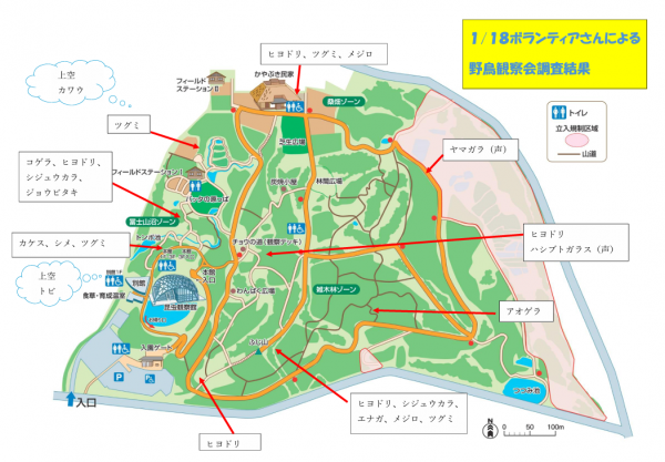 野鳥観察会の結果を記録しました