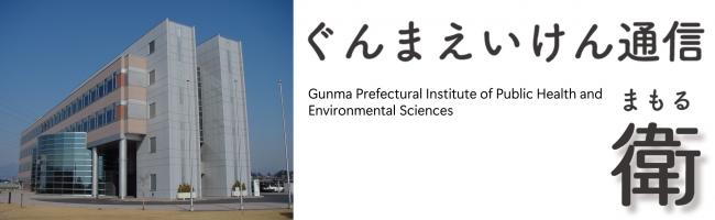 「ぐんまえいけん通信　衛」画像