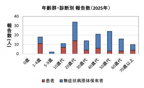 年齢別・診断別(2025年)報告数グラフ画像