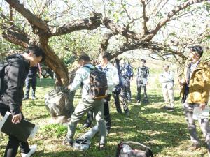 クビアカツヤカミキリ対策連絡会議の写真