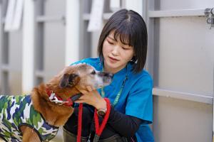 獣医師1（令和7年度）業務写真1