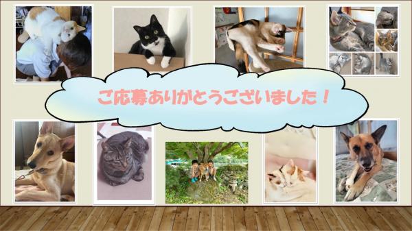 うちのこ自慢画像