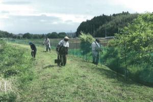 農地周りの草刈をしている画像