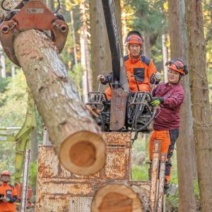 森林環境コース高性能林業機械作業の様子の写真