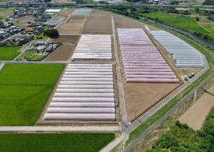 畑地化後の企業参入によるハウス団地画像