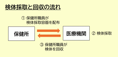 検体採取と回収の流れの図の画像