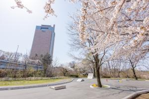 前橋公園（親水・水上ステージゾーン）