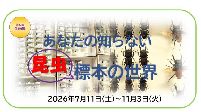企画展バナー