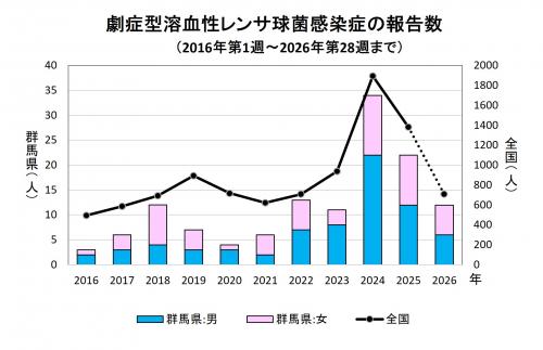 劇症型溶血性レンサ球菌感染グラフ　経年画像
