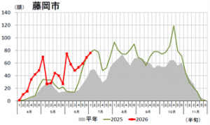 オオタバコガのフェロモントラップ調査結果（藤岡市）のグラフの画像