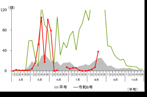 トラップ調査結果（高崎市高浜町）グラフ画像