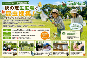 秋の野山で昆虫採集
